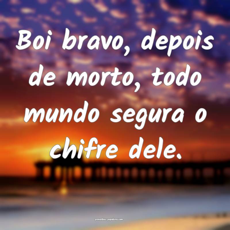 Boi bravo, depois de morto, todo mundo segura o ch ...