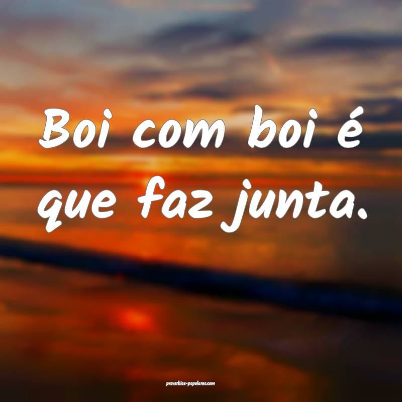 Boi com boi é que faz junta.
 ...