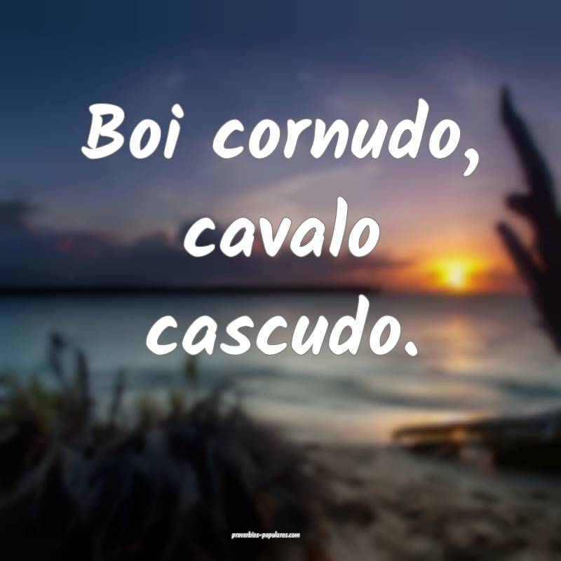 Boi cornudo, cavalo cascudo.
 ...