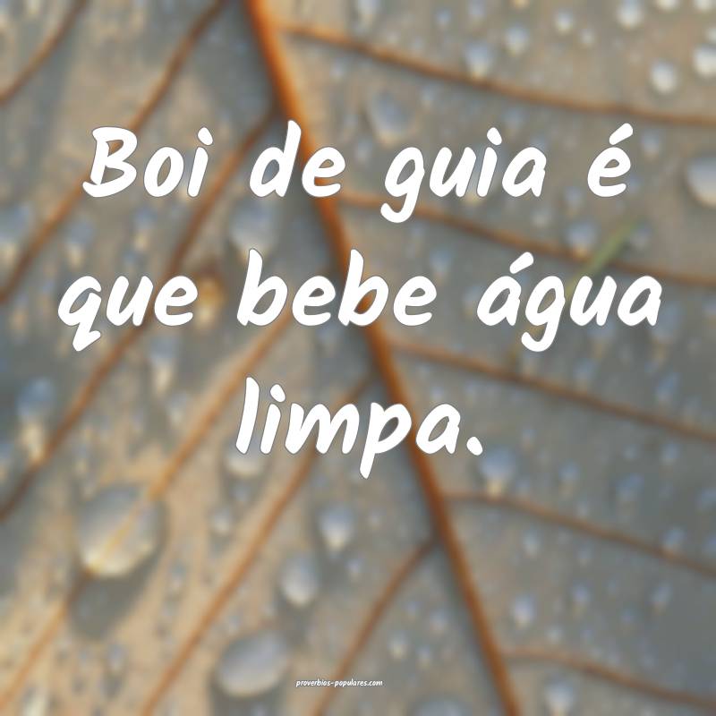 Boi de guia é que bebe água limpa.
...