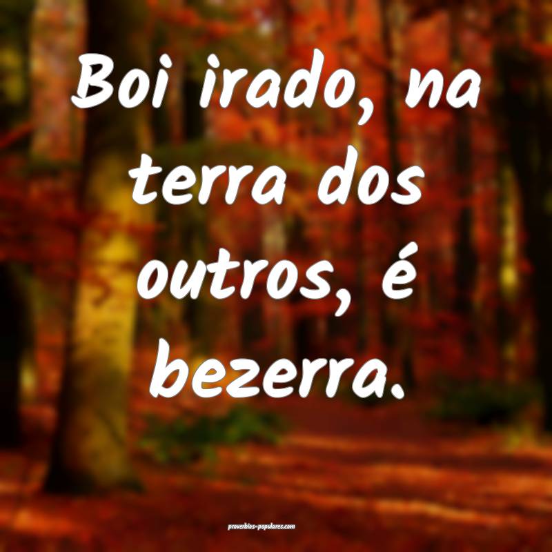 Boi irado, na terra dos outros, é bezerra.
...