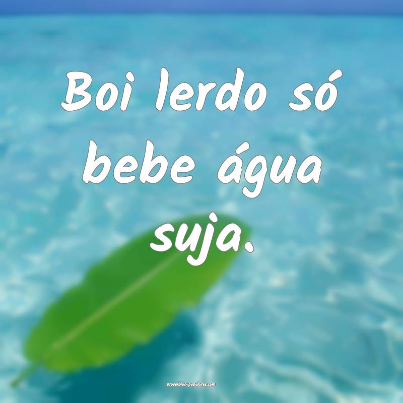 Boi lerdo só bebe água suja.
...
