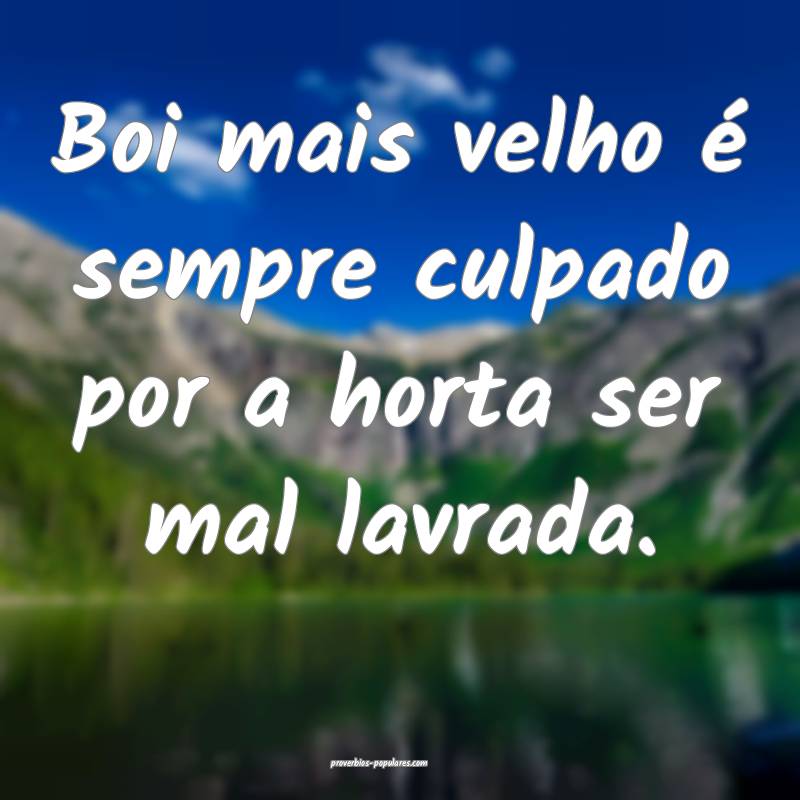 Boi mais velho é sempre culpado por a horta ser mal lavrada.
...