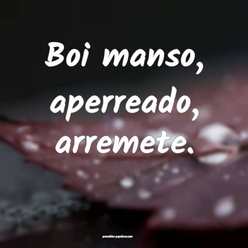 Boi manso, aperreado, arremete.
...