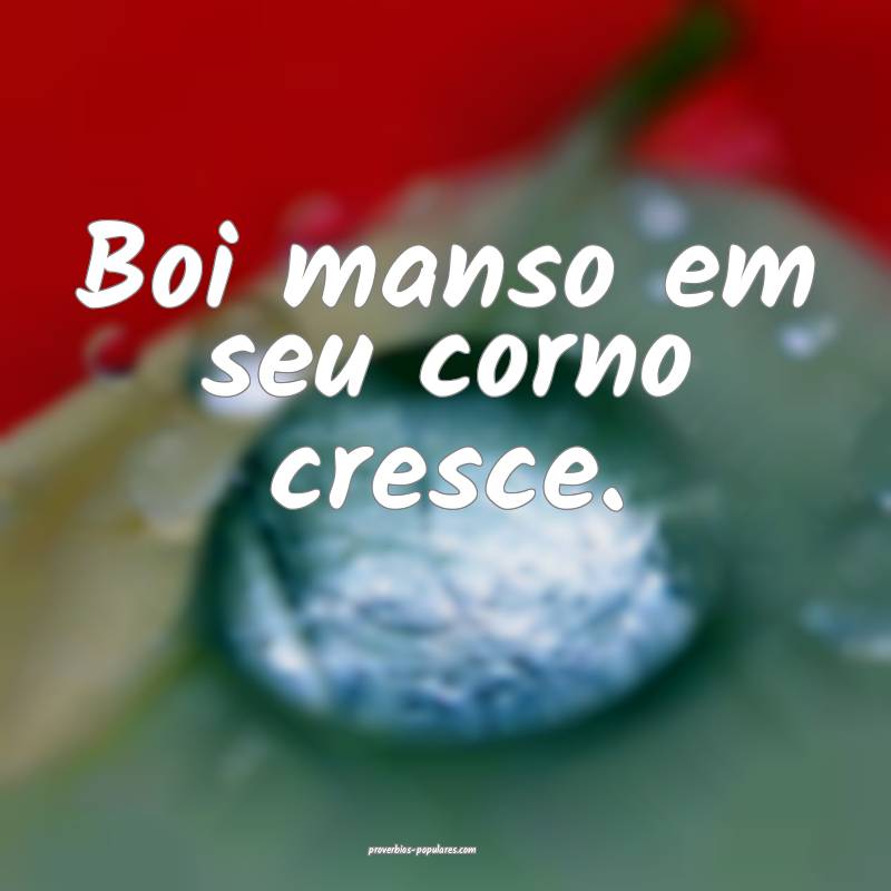 Boi manso em seu corno cresce.
...