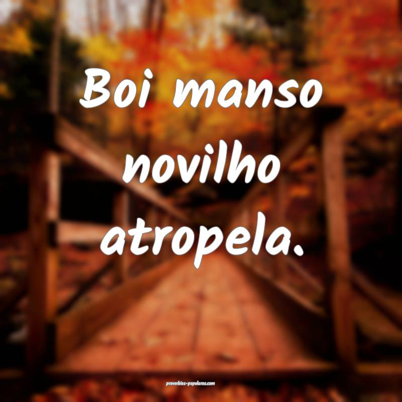 Boi manso novilho atropela.
...