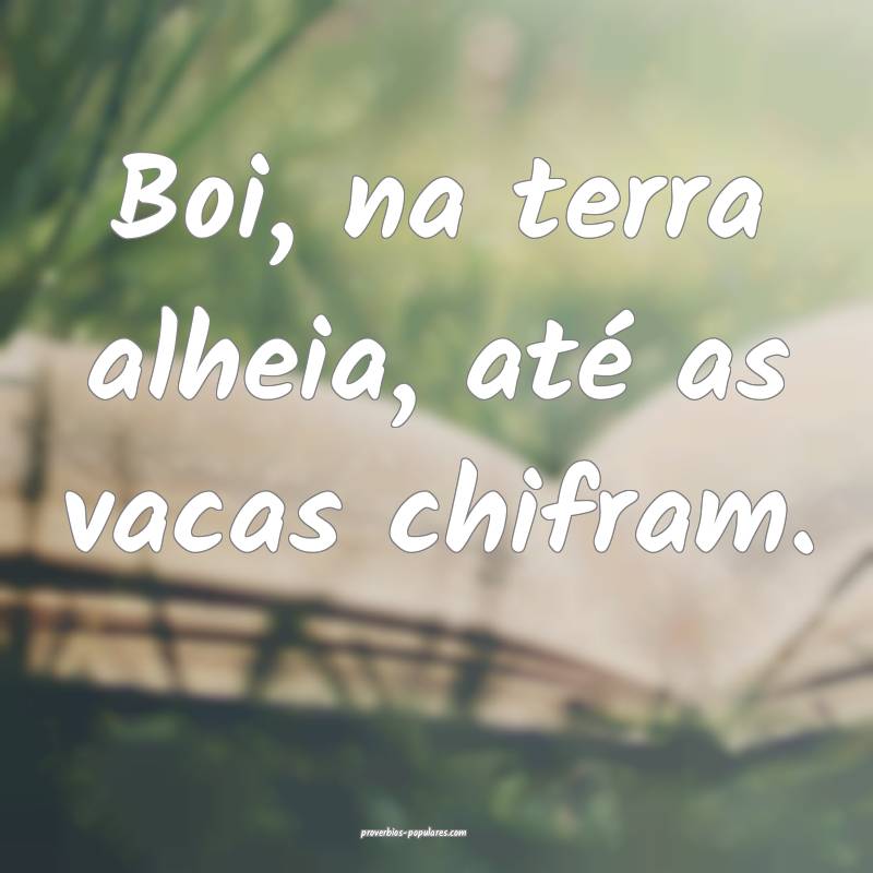 Boi, na terra alheia, até as vacas chifram.
...