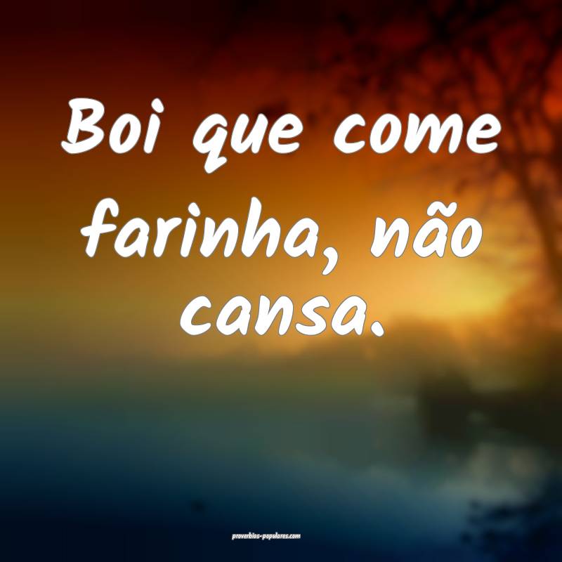 Boi que come farinha, não cansa.
 ...