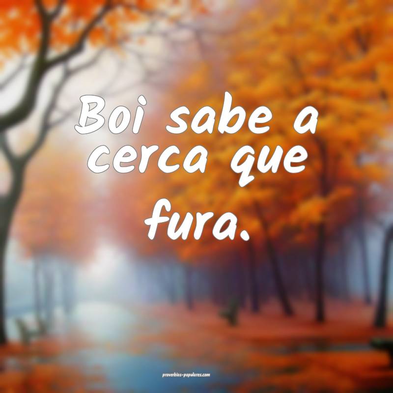 Boi sabe a cerca que fura.
...