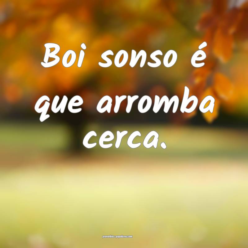 Boi sonso é que arromba cerca.
...