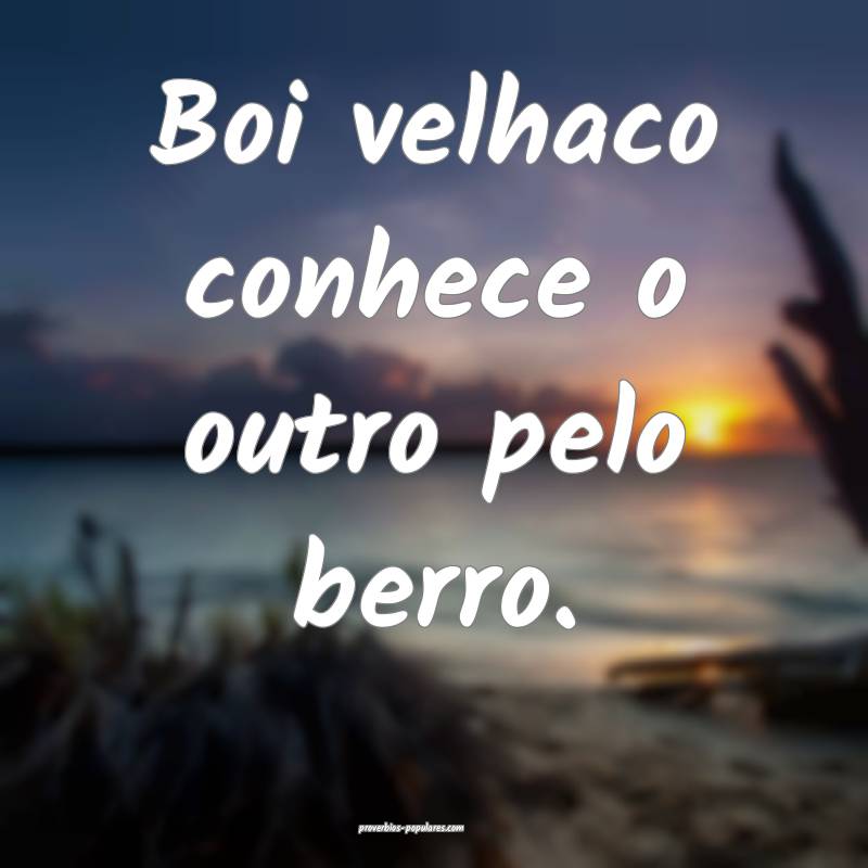 Boi velhaco conhece o outro pelo berro.
...