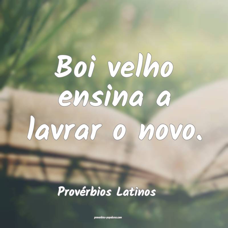 Boi velho ensina a lavrar o novo.
...