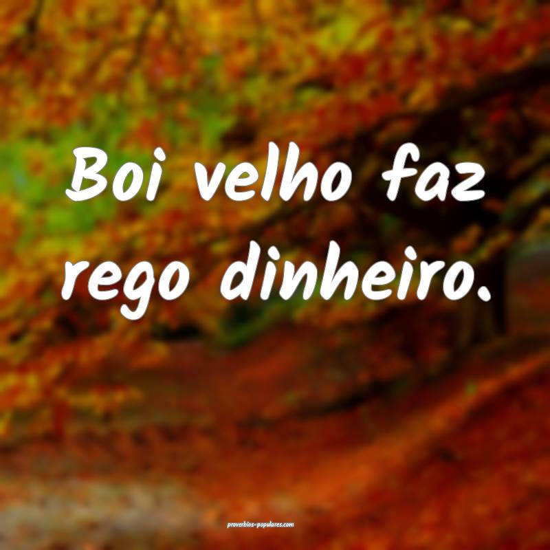 Boi velho faz rego dinheiro.
...