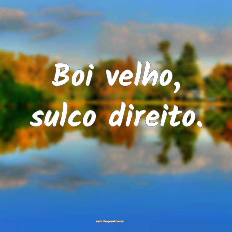 Boi velho, sulco direito.
 ...