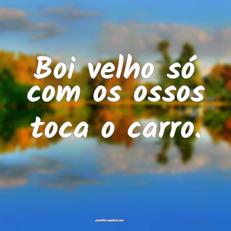 Boi velho só com os ossos toca o carro.
...