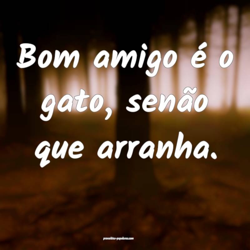 Bom amigo é o gato, senão que arranha.
...
