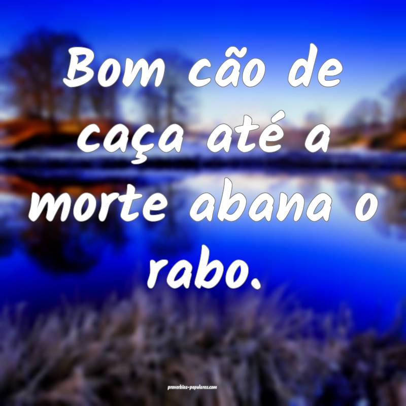 Bom cão de caça até a morte abana o rabo.
...