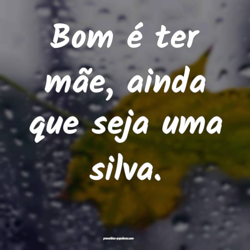 Bom é ter mãe, ainda que seja uma silva.
...