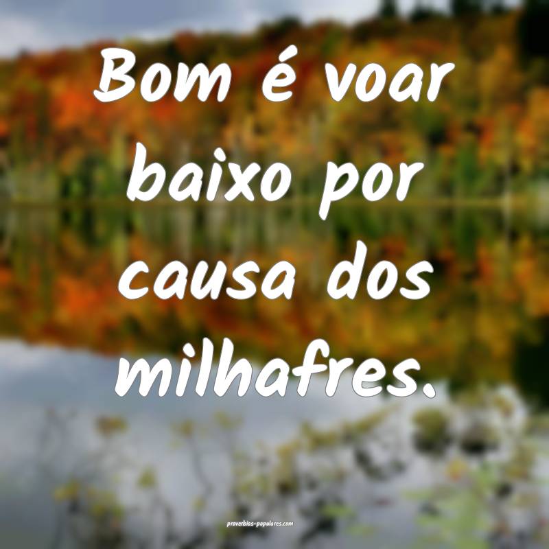 Bom é voar baixo por causa dos milhafres.
...