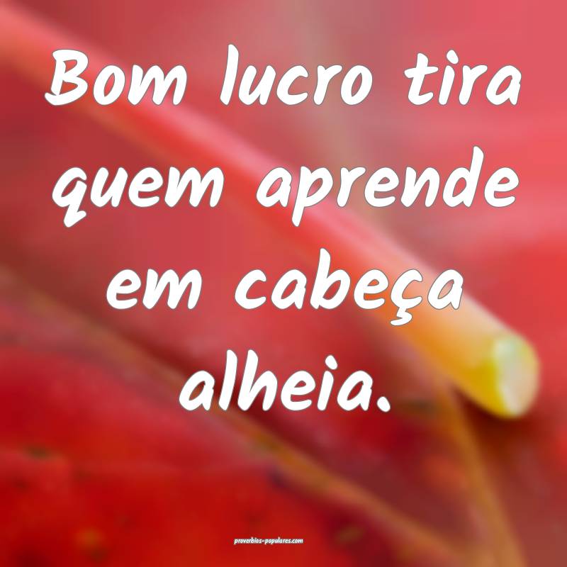 Bom lucro tira quem aprende em cabeça alheia.
...