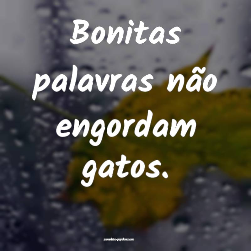 Bonitas palavras não engordam gatos.
 ...