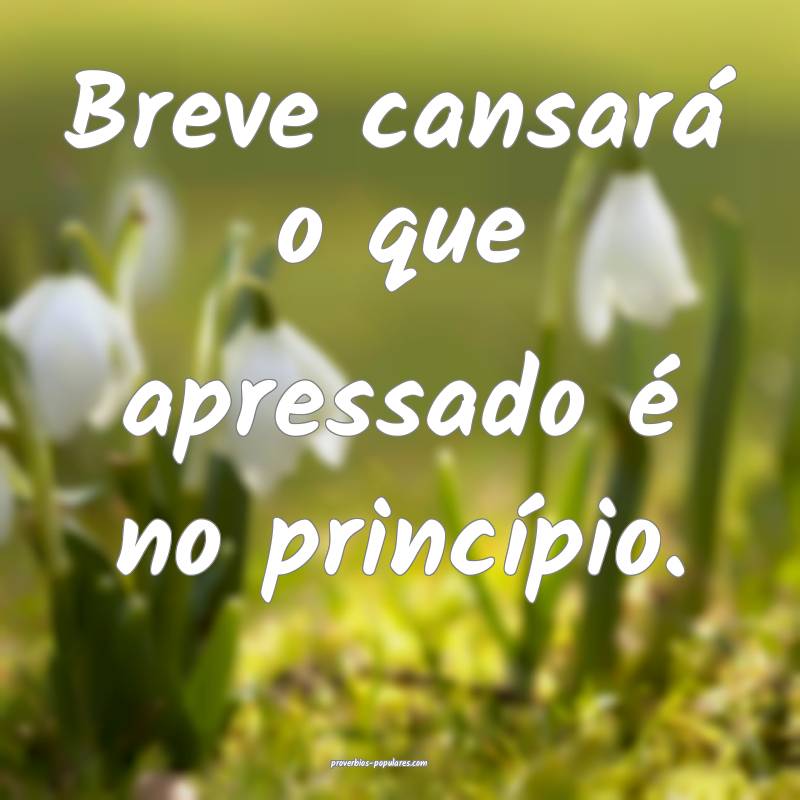 Breve cansará o que apressado é no princípio.
 ...