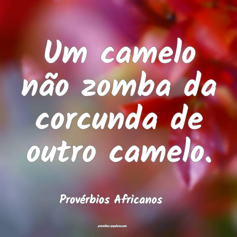Um camelo não zomba da corcunda de outro camelo.
...