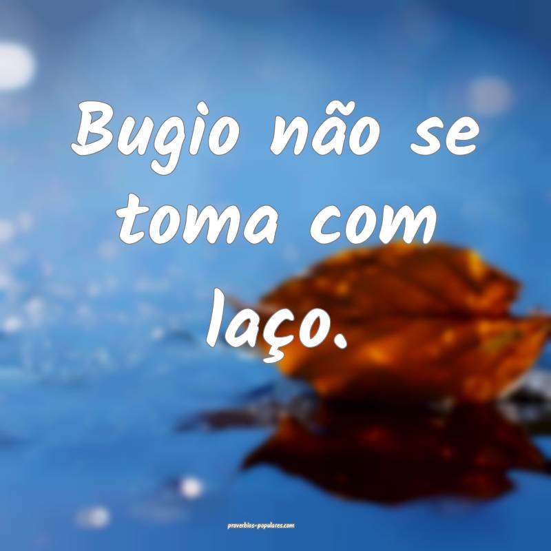 Bugio não se toma com laço.
 ...