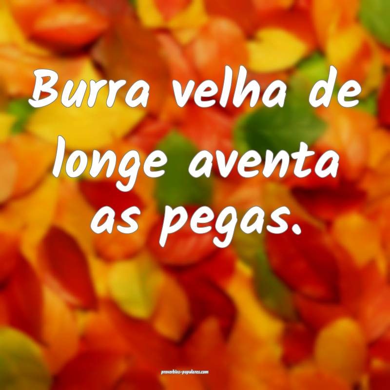 Burra velha de longe aventa as pegas.
...