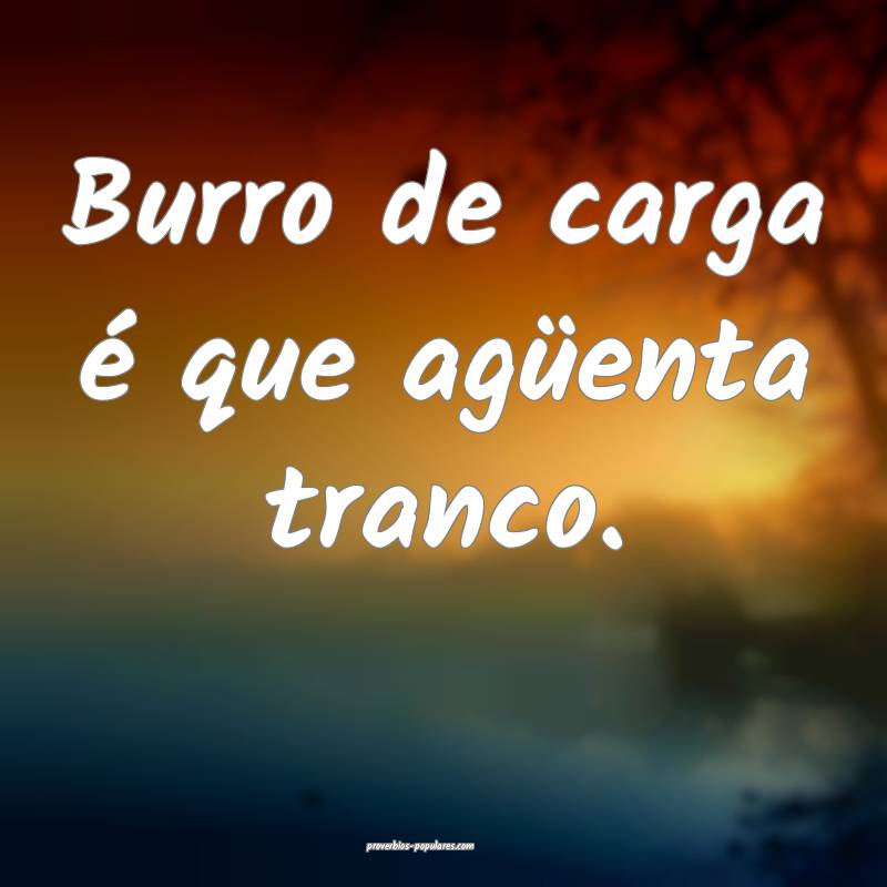 Burro de carga é que agüenta tranco.
...