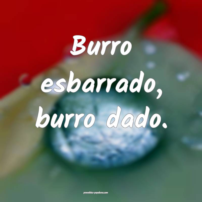 Burro esbarrado, burro dado.
 ...
