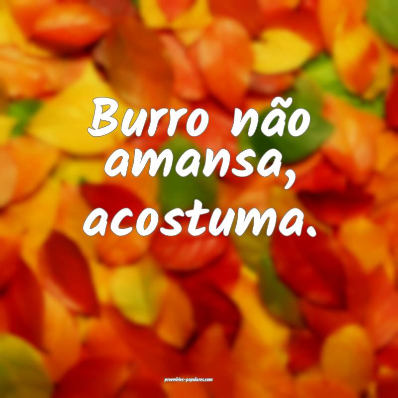 Burro não amansa, acostuma.
...