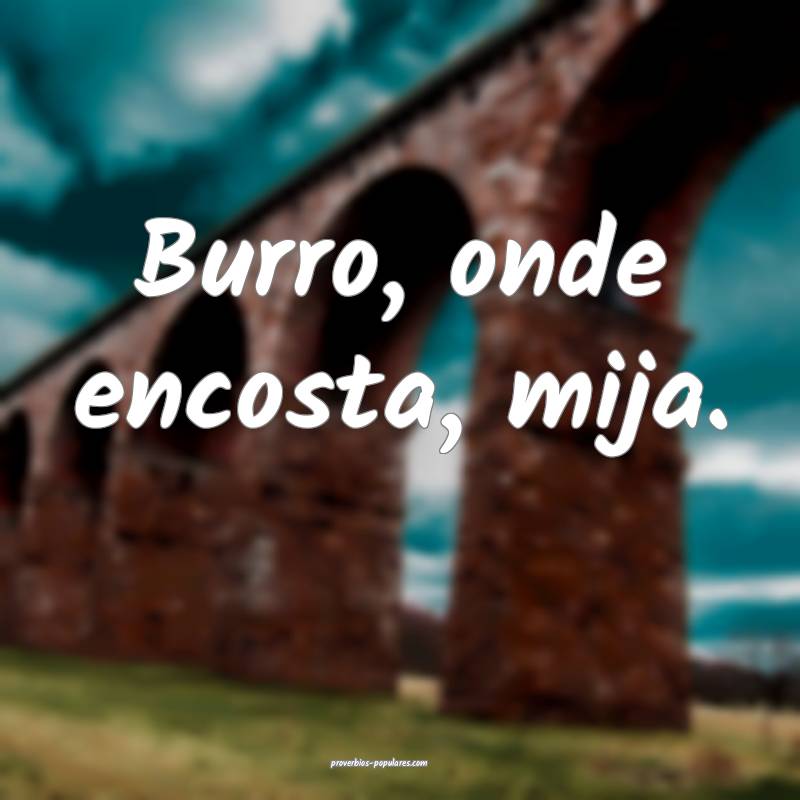 Burro, onde encosta, mija.
 ...
