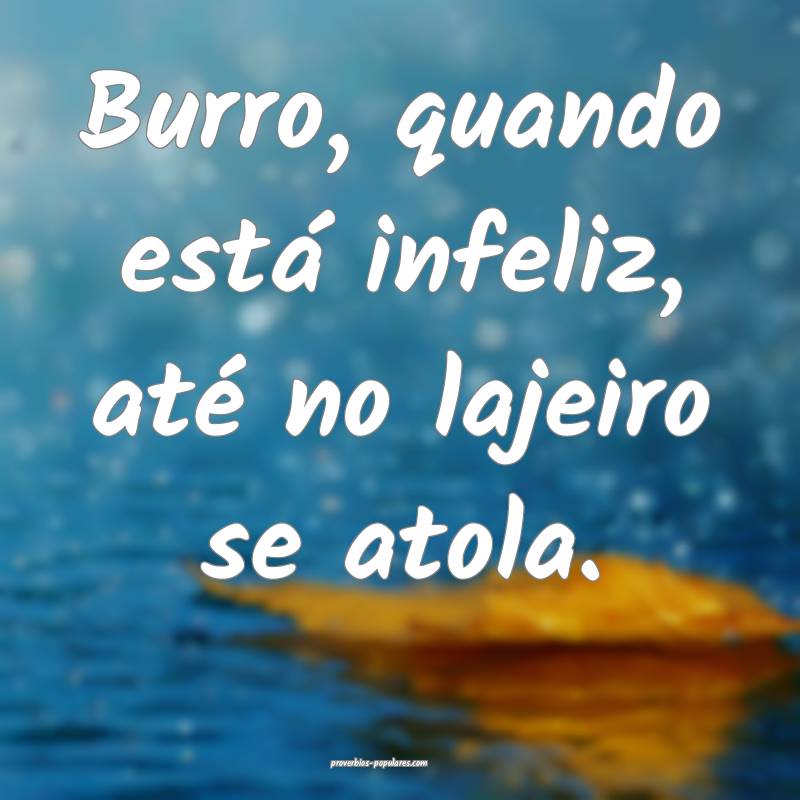 Burro, quando está infeliz, até no lajeiro se at ...