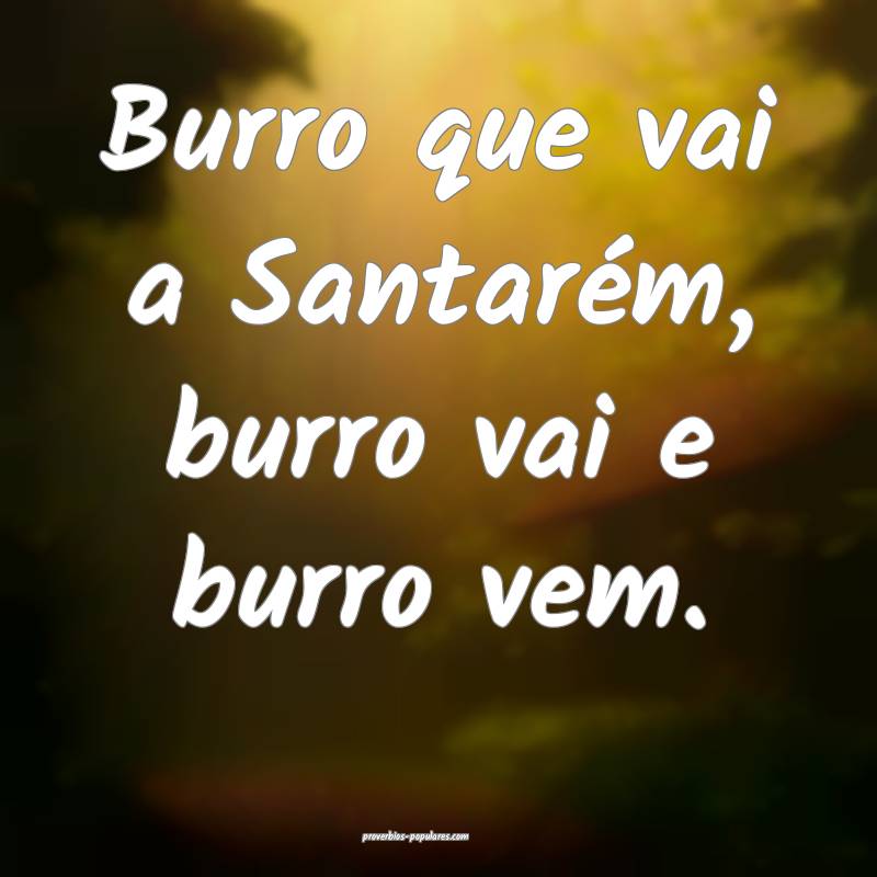 Burro que vai a Santarém, burro vai e burro vem.
 ...