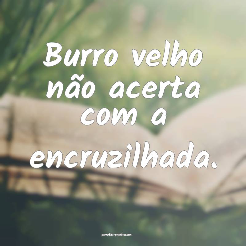 Burro velho não acerta com a encruzilhada.
...