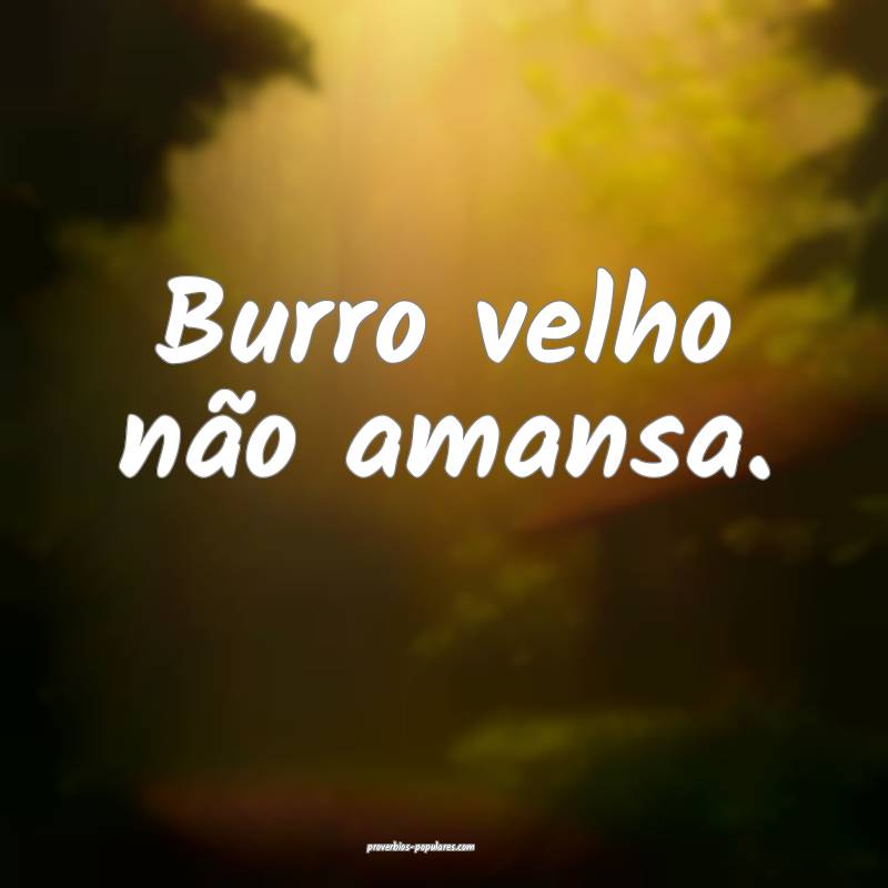 Burro velho não amansa.
...