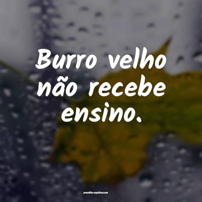 Burro velho não recebe ensino.
 ...