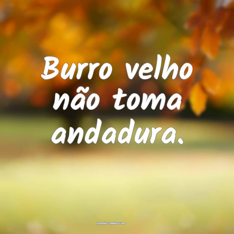 Burro velho não toma andadura.
...