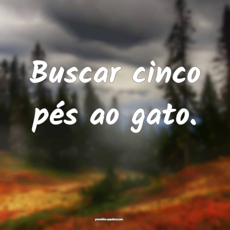 Buscar cinco pés ao gato.
...
