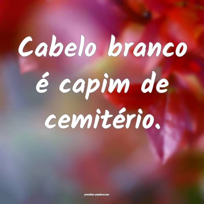 Cabelo branco é capim de cemitério.
...