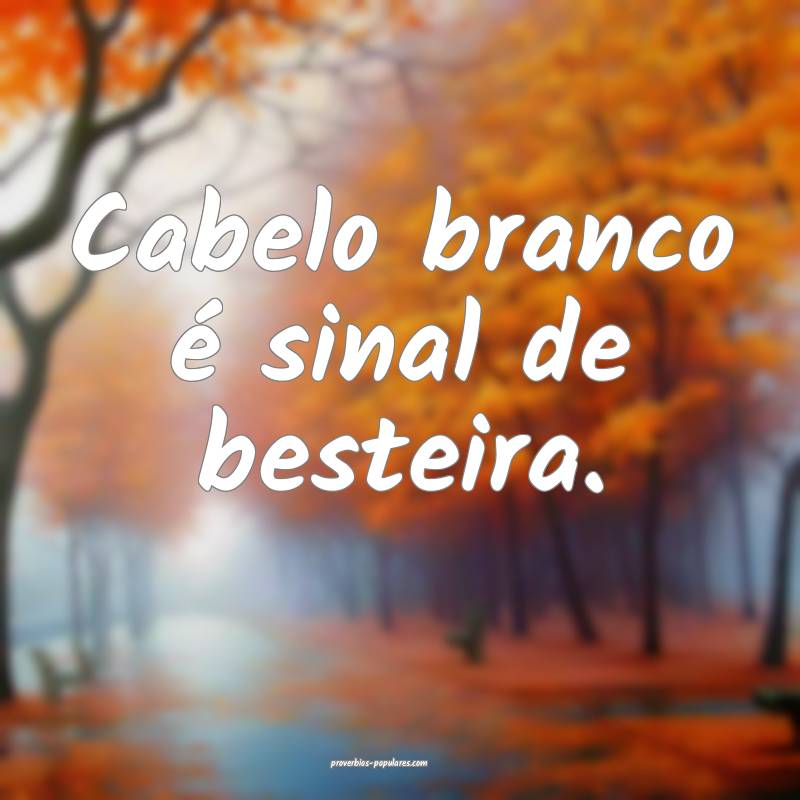 Cabelo branco é sinal de besteira.
...
