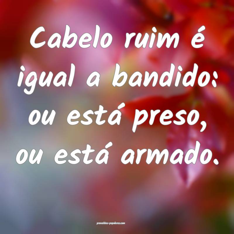 Cabelo ruim é igual a bandido: ou está preso, ou está armado.
...