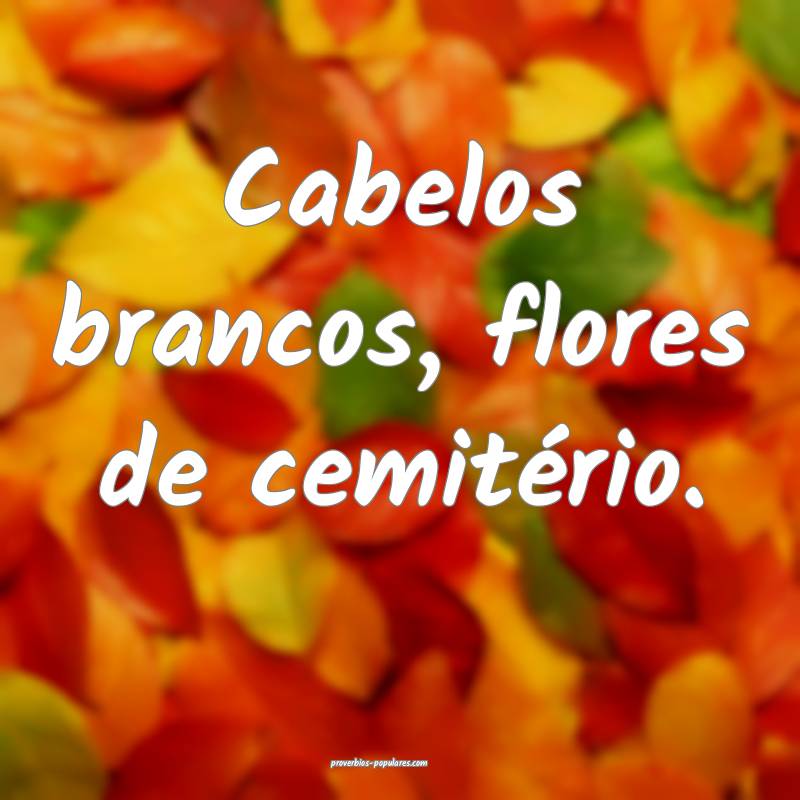 Cabelos brancos, flores de cemitério.
...
