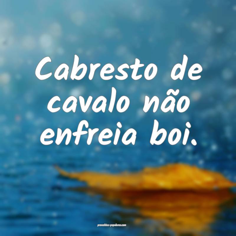 Cabresto de cavalo não enfreia boi.
 ...