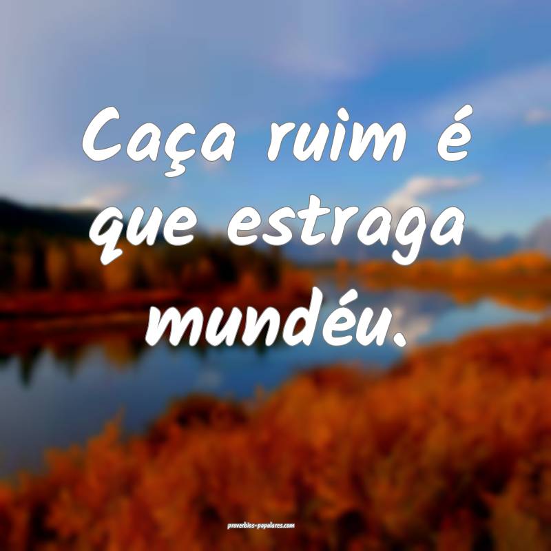 Caça ruim é que estraga mundéu.
 ...