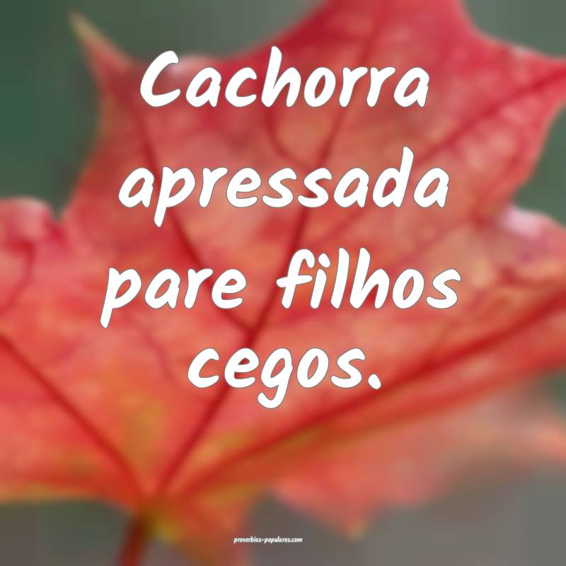 Cachorra apressada pare filhos cegos.
...