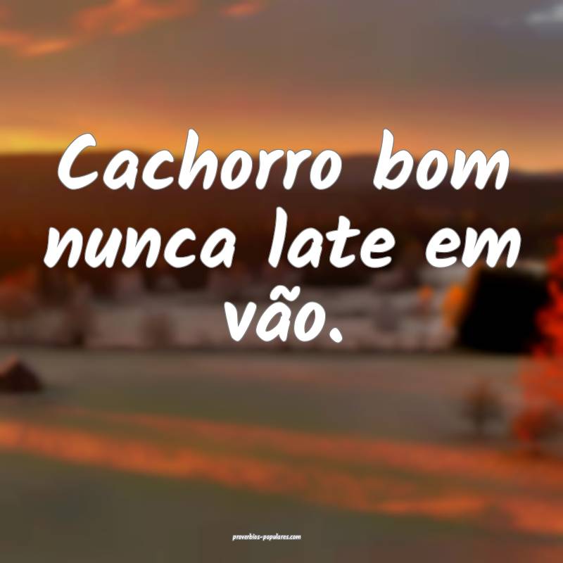 Cachorro bom nunca late em vão.
...