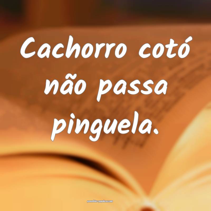 Cachorro cotó não passa pinguela.
 ...