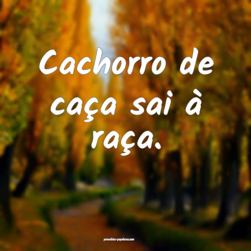 Cachorro de caça sai à raça.
...